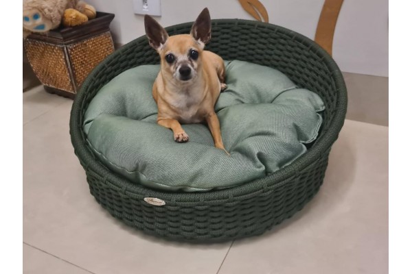 Chaise Pet Redonda Corda Náutica 