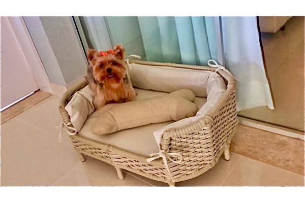 Chaise Pet Retangular Fibra Sintética